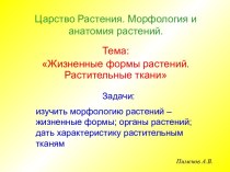 Жизненные формы растений. Растительные ткани