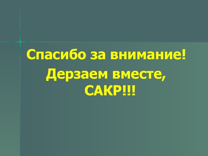 Спасибо за внимание!Дерзаем вместе, САКР!!!