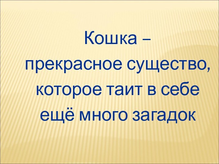 Кошка – прекрасное существо, которое таит в себе ещё много загадок