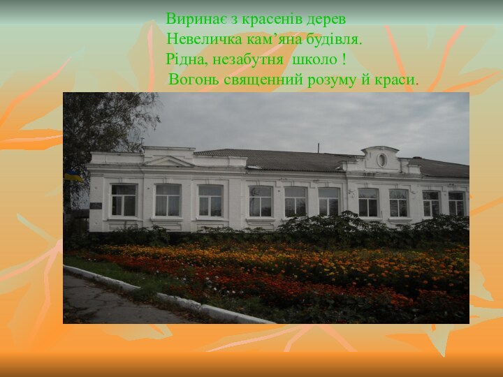 Виринає з красенів дерев   Невеличка кам’яна будівля. Рідна, незабутня школо