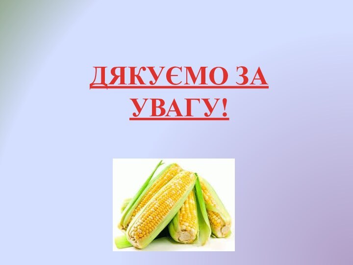 ДЯКУЄМО ЗА УВАГУ!