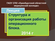 Структура и организация работы операционного блока