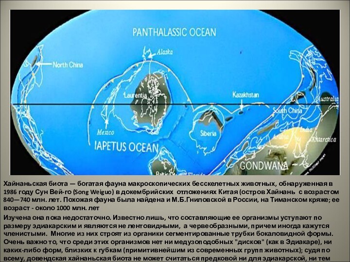 Хайнаньская биота — богатая фауна макроскопических бесскелетных животных, обнаруженная в 1986 году Сун