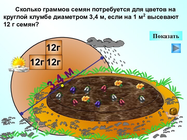 Сколько граммов семян потребуется для цветов на круглой