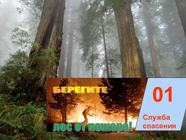 01Служба спасенияБЕРЕГИТЕ лес от пожара!