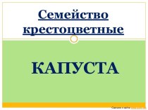 Семейство крестоцветные КАПУСТА