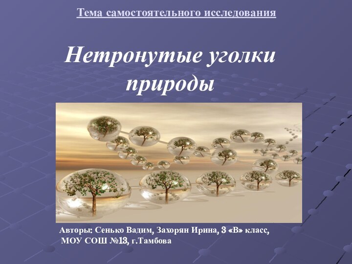 Тема самостоятельного исследования    Нетронутые уголки природыАвторы: Сенько Вадим, Захорян