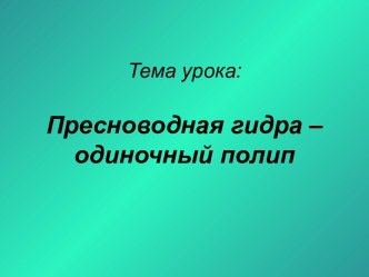 Пресноводная гидра – одиночный полип