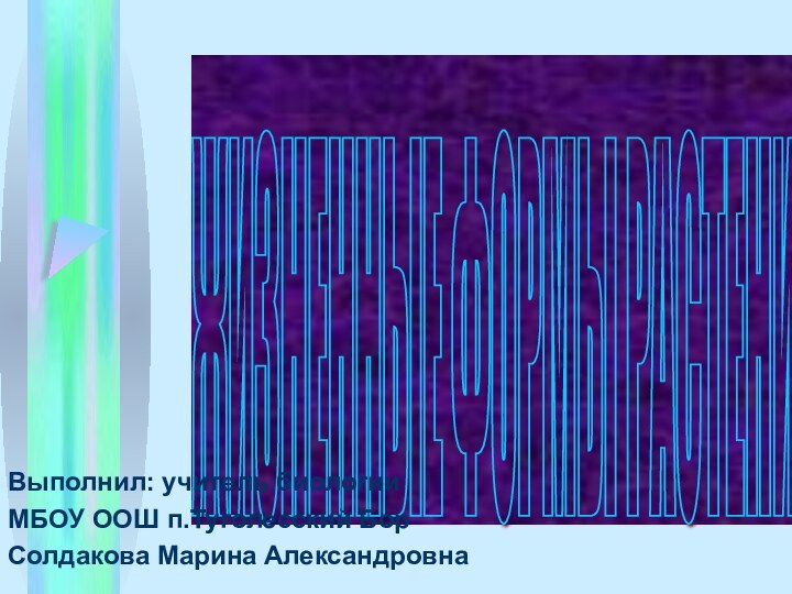 ЖИЗНЕННЫЕ ФОРМЫ РАСТЕНИЙ Выполнил: учитель биологии МБОУ ООШ п.Туголесский Бор Солдакова Марина Александровна