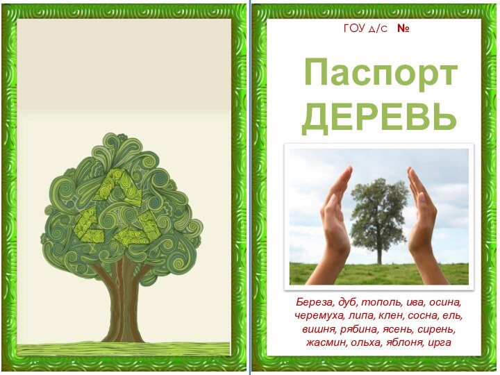 ГОУ д/с  №ПаспортДЕРЕВЬЕВБереза, дуб, тополь, ива, осина, черемуха, липа, клен, сосна,