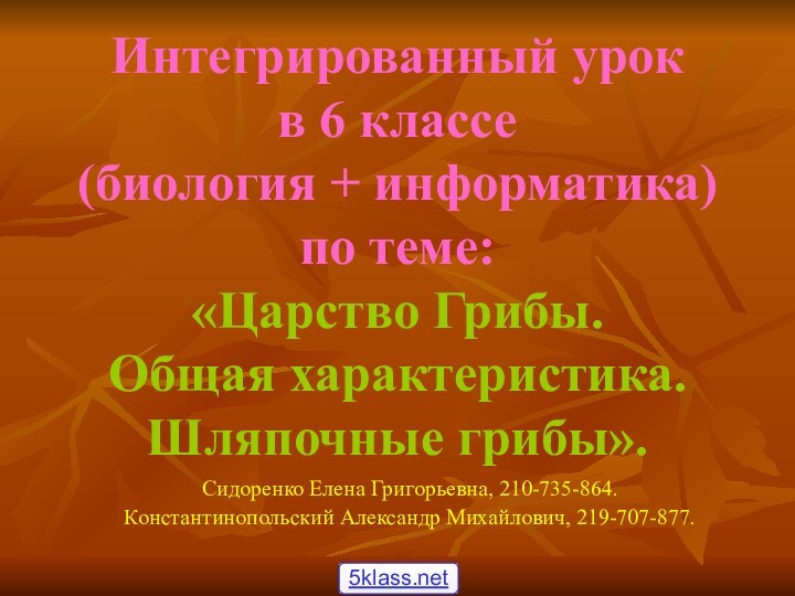 Интегрированный урок  в 6 классе  (биология + информатика)  по