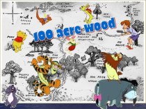100 acre wood