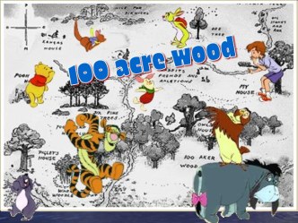 100 acre wood