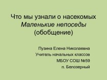 Что мы узнали о насекомых