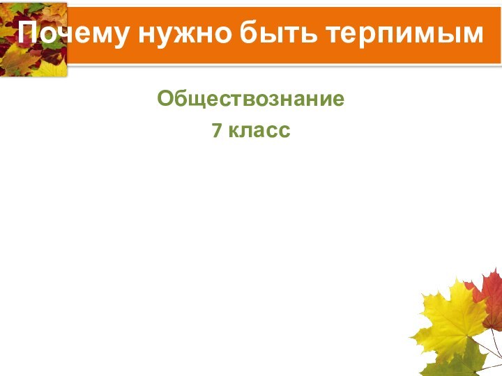 Почему нужно быть терпимымОбществознание7 класс