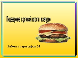 Пищеварение в ротовой полости и желудке.