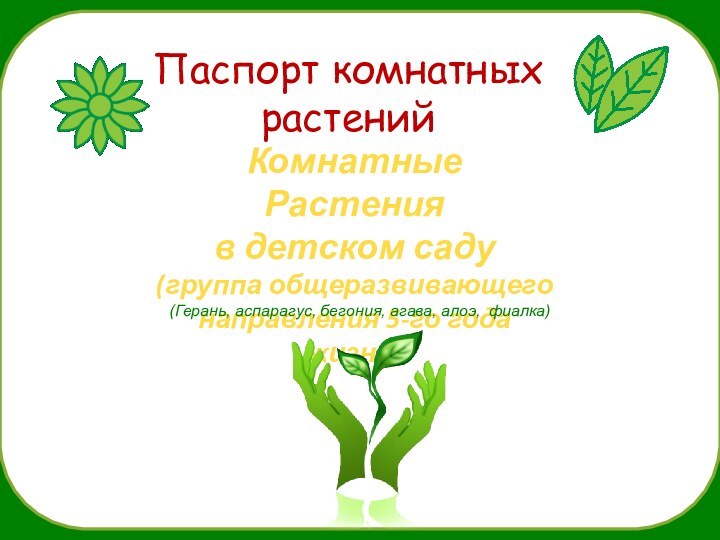 Паспорт комнатных растенийКомнатные Растения в детском саду(группа общеразвивающего направления 5-го года жизни)(Герань,