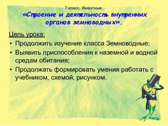 Строение и деятельность внутренних органов земноводных