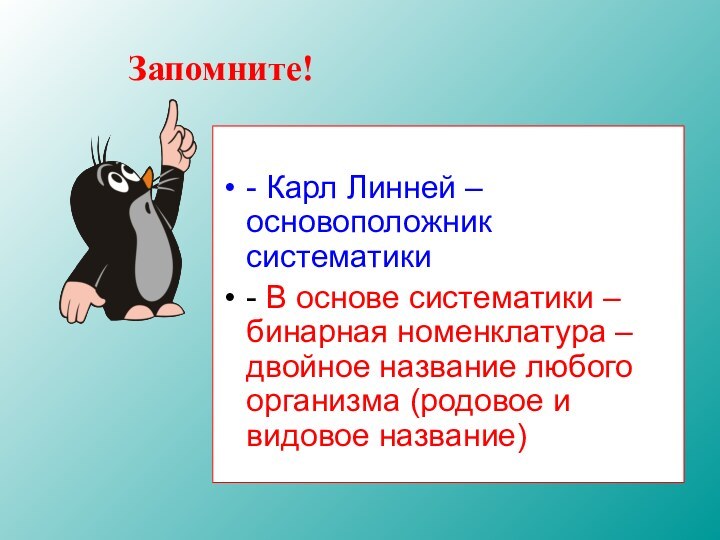 Запомните!- Карл Линней – основоположник систематики- В основе систематики – бинарная номенклатура