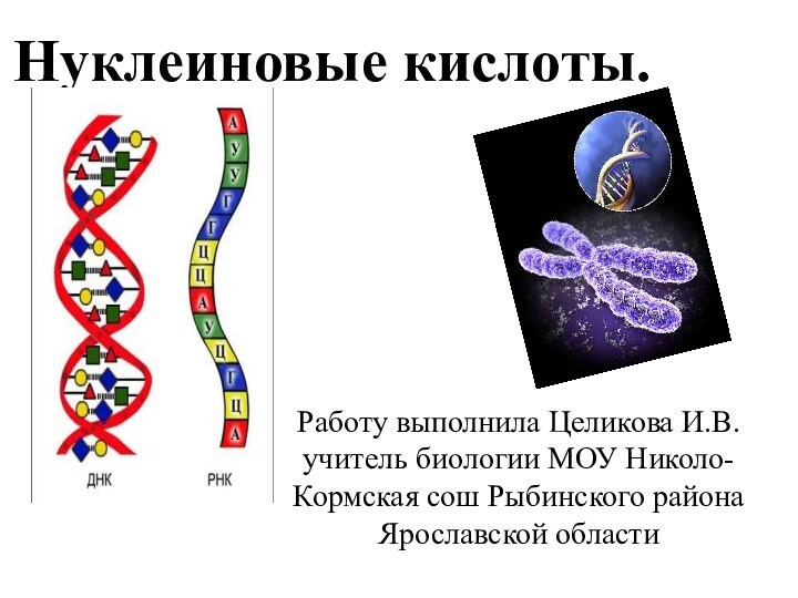 Нуклеиновые кислоты. Работу выполнила Целикова И.В. учитель биологии МОУ Николо-Кормская сош Рыбинского района Ярославской области