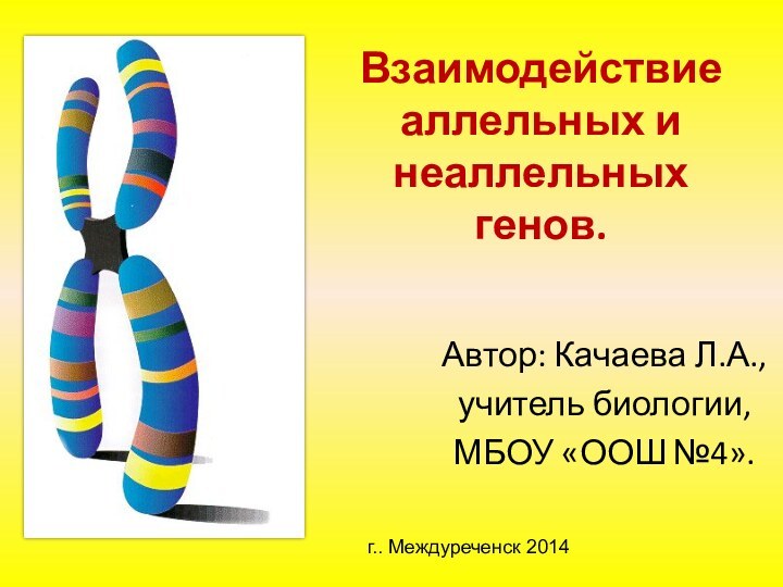 Взаимодействие аллельных и неаллельных генов.Автор: Качаева Л.А.,учитель биологии,МБОУ «ООШ №4». г.. Междуреченск 2014