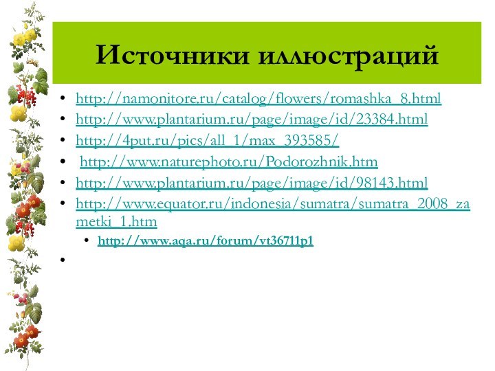 Источники иллюстрацийhttp://namonitore.ru/catalog/flowers/romashka_8.html http://www.plantarium.ru/page/image/id/23384.html http://4put.ru/pics/all_1/max_393585/ http://www.naturephoto.ru/Podorozhnik.htmhttp://www.plantarium.ru/page/image/id/98143.htmlhttp://www.equator.ru/indonesia/sumatra/sumatra_2008_zametki_1.htm http://www.aqa.ru/forum/vt36711p1