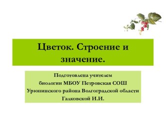 Цветок. Строение и значение.