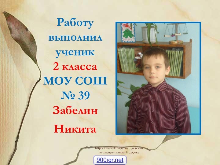 Работу выполнилученик 2 классаМОУ СОШ № 39Забелин Никита http://www.deti-66.ru/  детский исследовательский проект