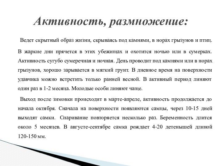 Ведет скрытный образ жизни, скрываясь под камнями, в норах грызунов и птиц.