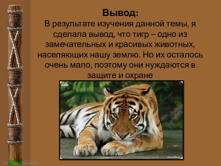 Вывод: В результате изучения данной темы, я сделала вывод, что тигр –