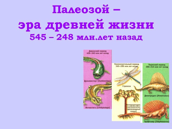 Палеозой –  эра древней жизни 545 – 248 млн.лет назад