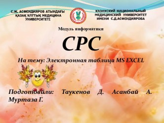 Электронная таблица MS Excel