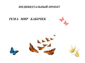 Мир бабочек