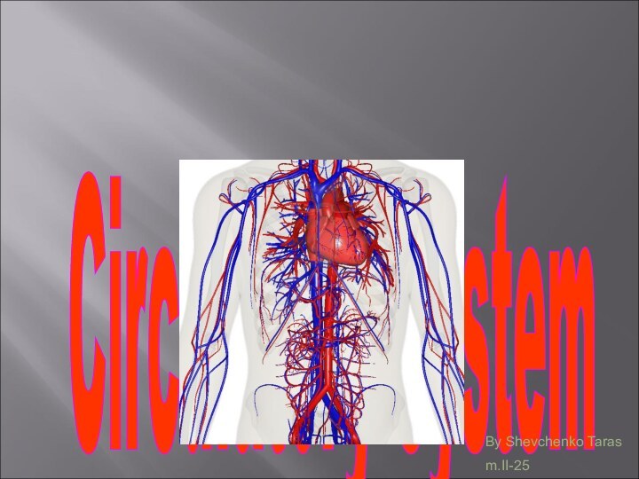 Circulatory System By Shevchenko Taras m.II-25