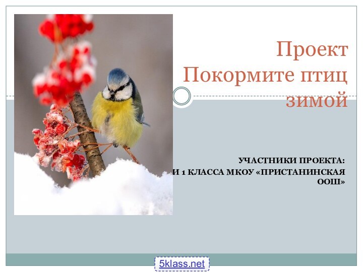 Участники проекта:Ученики 1 класса МКОУ «Пристанинская ООШ»Проект  Покормите птиц  зимой