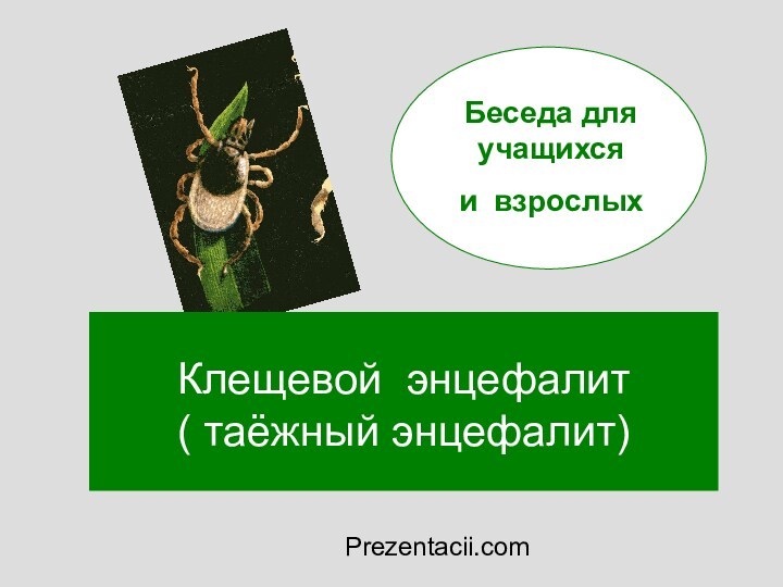 Клещевой энцефалит ( таёжный энцефалит) Беседа для учащихся и взрослыхPrezentacii.com