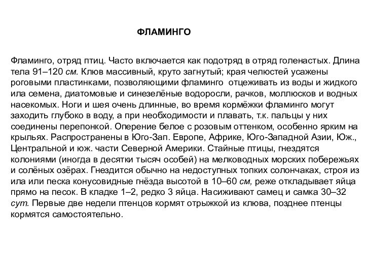 Фламинго, отряд птиц. Часто включается как подотряд в отряд голенастых. Длина тела