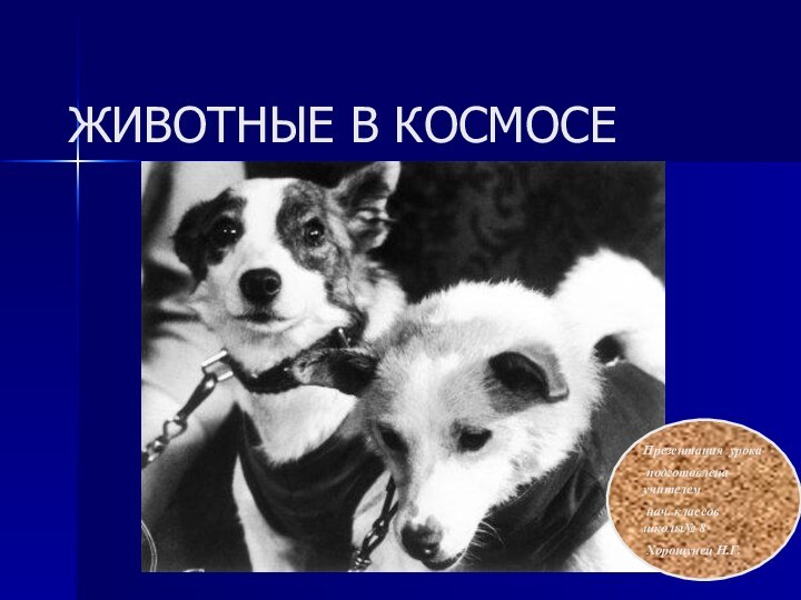 ЖИВОТНЫЕ В КОСМОСЕ Презентация урока подготовлена учителем нач. классов школы№ 8 Хорошунец Н.Г.