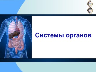 Системы органов