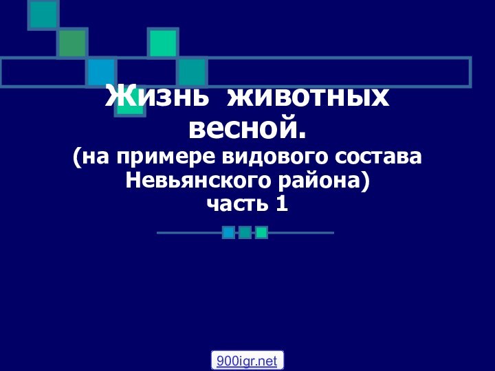 Жизнь животных весной. (на примере видового состава Невьянского района) часть 1