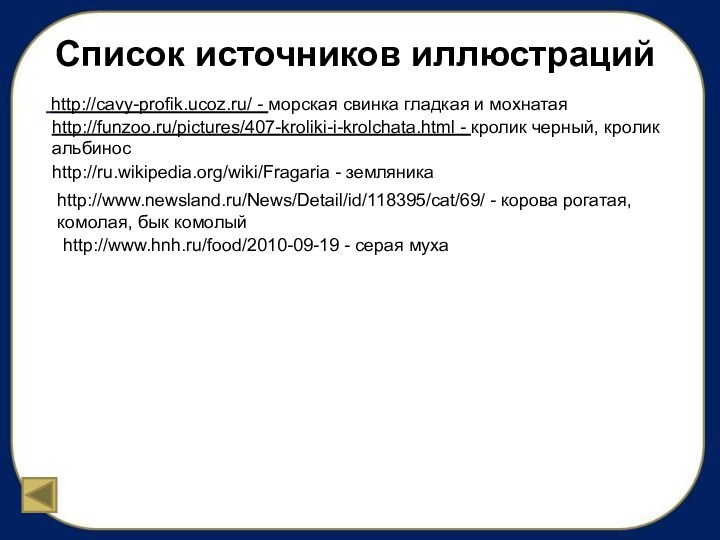 Список источников иллюстраций http://cavy-profik.ucoz.ru/ - морская свинка гладкая и мохнатаяhttp://funzoo.ru/pictures/407-kroliki-i-krolchata.html -