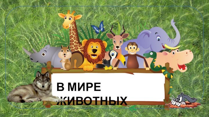 В МИРЕ ЖИВОТНЫХ