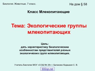 Группы млекопитающих