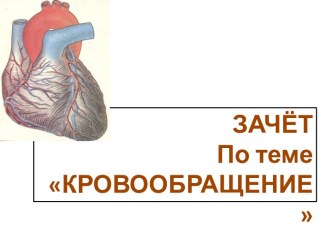 Зачёт по теме Кровь