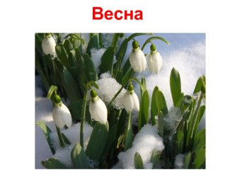 ВЕСНА