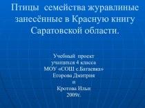 Птицы семейства журавлиные занесённые в Красную книгу Саратовской области