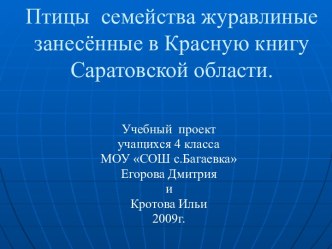 Птицы семейства журавлиные занесённые в Красную книгу Саратовской области