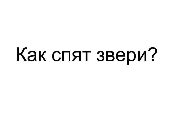 Как спят звери?