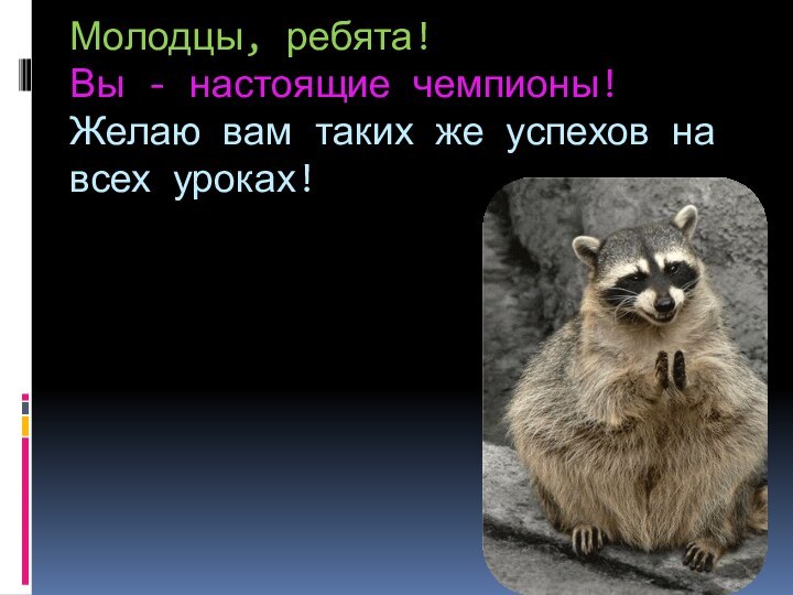 Молодцы, ребята!  Вы - настоящие чемпионы! Желаю вам таких же успехов на всех уроках!