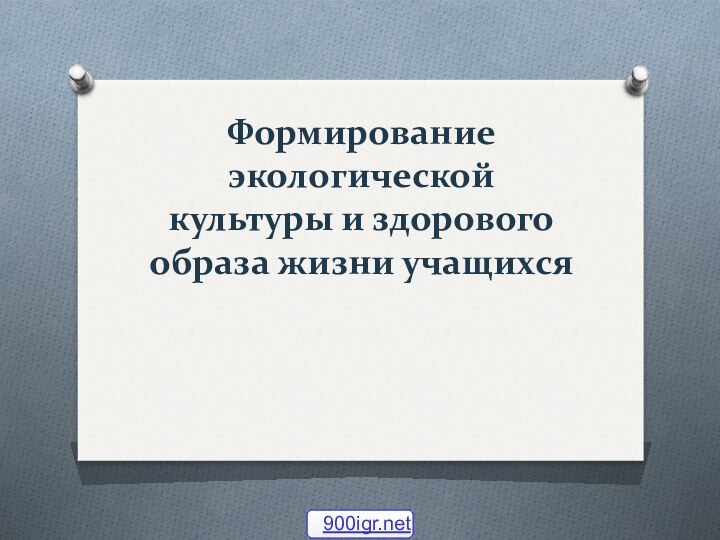 Формирование экологической культуры и здорового образа жизни учащихся